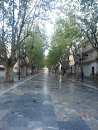 Paseo De Cervantes (Oeste)