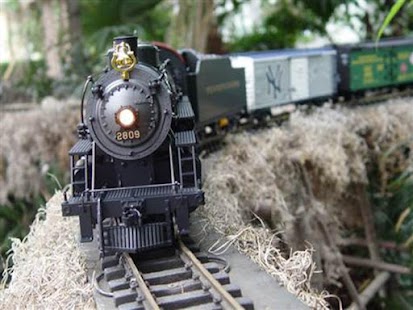 蒸汽機車火車：模型
