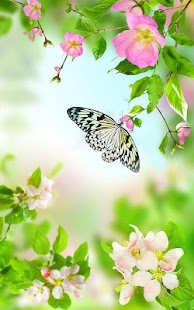 How to install Gentle Flowers Live Wallpaper 3.0 mod apk for android