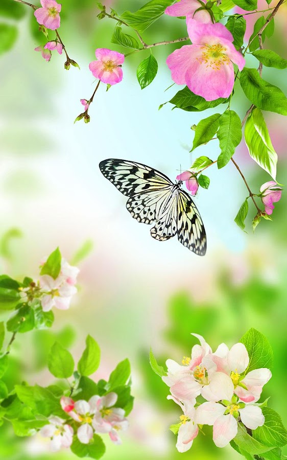 Скачать Flowers Live Wallpaper для Android