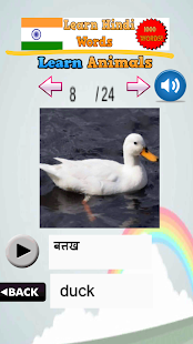 Learn 1000 Hindi Words(圖6)-速報App