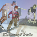 Skateboard Tricks Pro