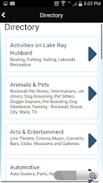 Planet Rockwall poster 2