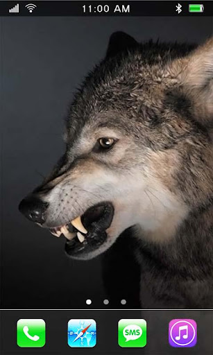 免費下載個人化APP|Wolves Mistery live wallpaper app開箱文|APP開箱王
