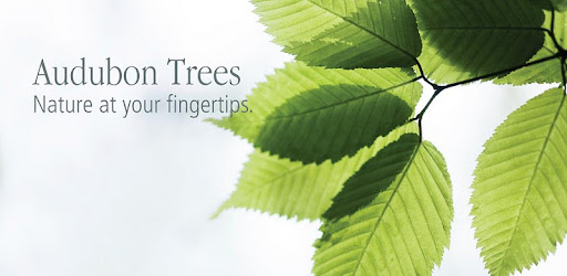 Audubon Trees -  apk apps