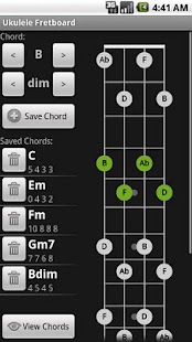 Ukulele Fretboard