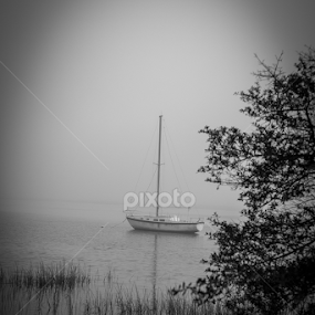 Serenity by Lottie Campenella - Black & White Objects & Still Life