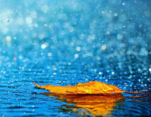 Galaxy S4 Raindrops