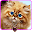 Fluffy Cat Download on Windows