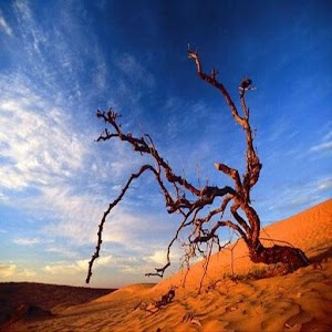 차량용 블랙박스.apk 1.0