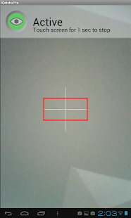 iGotcha Pro intruder detector Screenshots 18