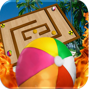 Survivor Fire Ball Maze 3D 1.0.1