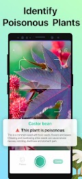 PictureThis - Plant Identifier 6