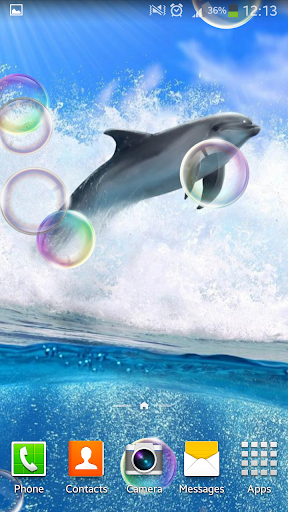 海豚動畫壁紙