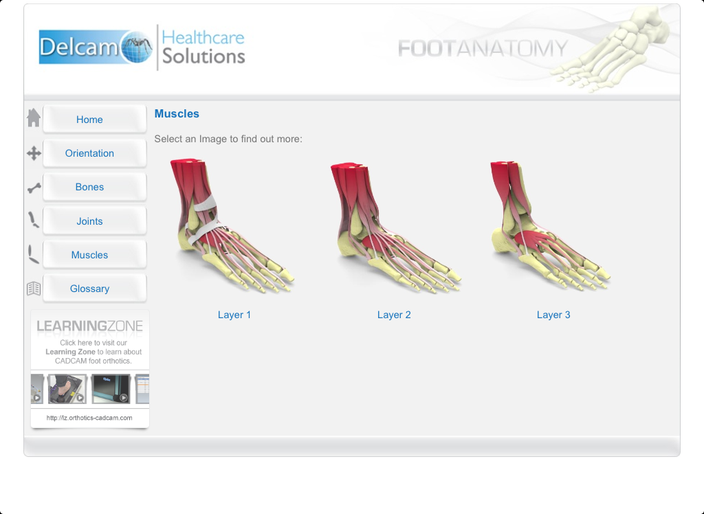    Foot Anatomy- screenshot  