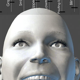 MARA3D Facial Expressions APK v1.22