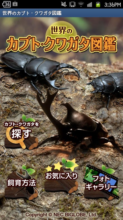 Android application 世界のカブト・クワガタ図鑑 screenshort