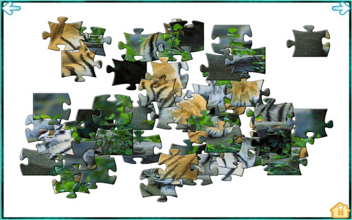 免費下載解謎APP|Wild Animal Jigsaw Puzzle app開箱文|APP開箱王