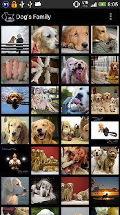 Dog Breeds(圖3)-速報App