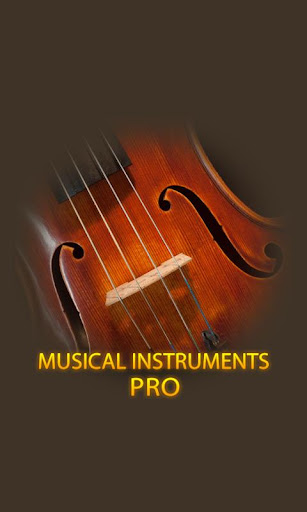 Musical Instruments Pro