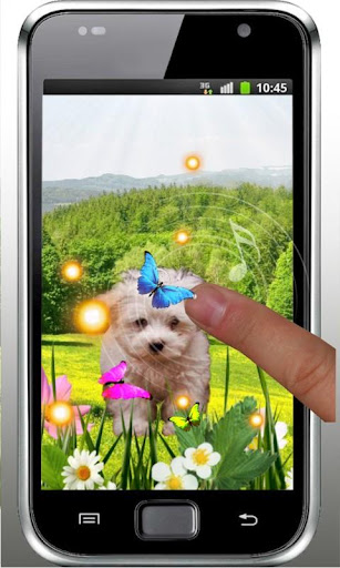 免費下載個人化APP|Spring Puppy live wallpaper app開箱文|APP開箱王