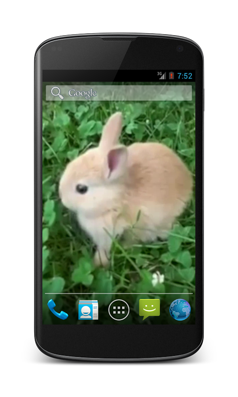 Bunny Free Video Wallpaperのおすすめ画像2