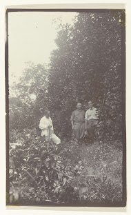 Drie mannen op plantage Accaribo