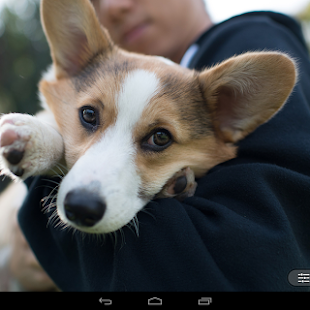 Camera Awesome v1.0.2 APK Latest 