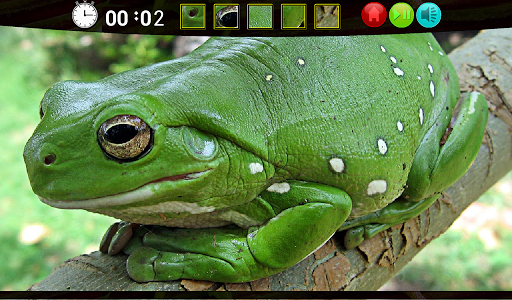 Froggy Hidden Images