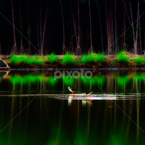 by Iqbal Al-jud - Novices Only Objects & Still Life