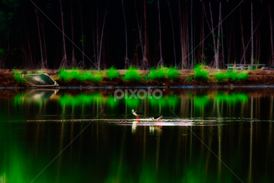 by Iqbal Al-jud - Novices Only Objects & Still Life