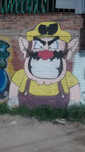 Mario Bross