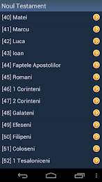 Romanian Holy Bible poster 4