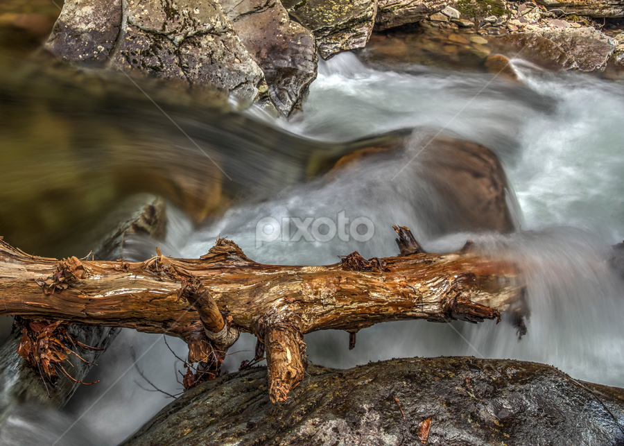 Rushing Water by Aaron Campbell - Nature Up Close Water