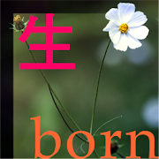 Ciclo de vida - Born