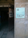 Dog Leg Tunnel Entrance