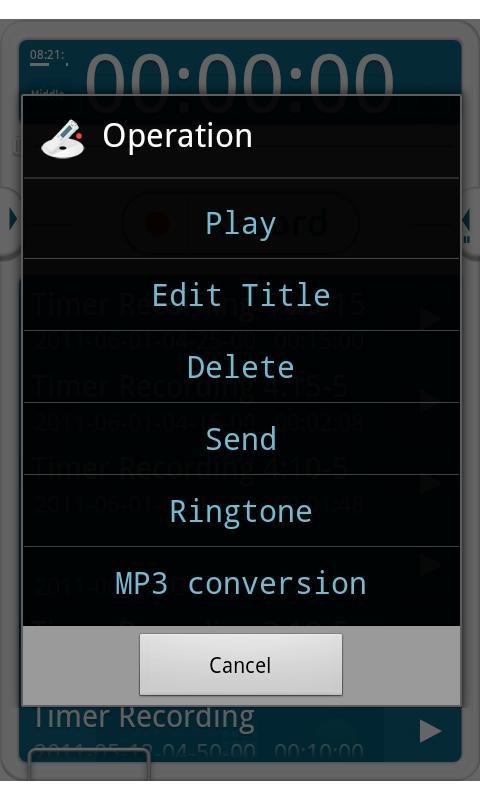 VoiceRecorder Pro Screen 3