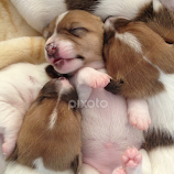 I've had a big day! by Dawn Simpson -  