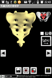 Skeletology (Nagomi) 2D poster 4