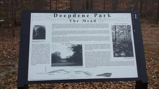 Deepdene Park the Mead