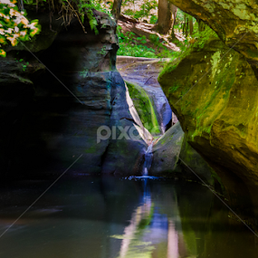 by Donna Nicklas - Nature Up Close Rock & Stone