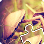 Cover Image of Download Nature Puzzle 1.6 APK