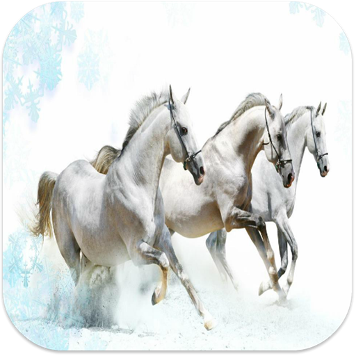 Horse Wallpapers LOGO-APP點子