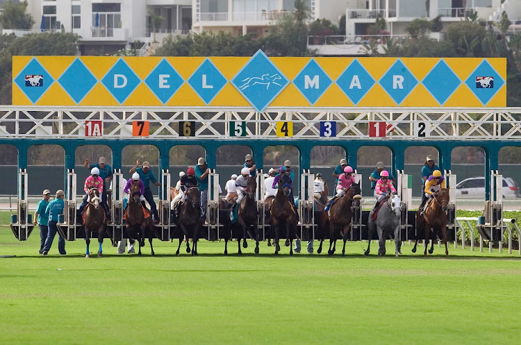 Del Mar racehorses at the starting gate.
