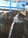 Fish Fountain Muncul