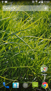 How to mod Grass Real Live Wallpaper apk for bluestacks