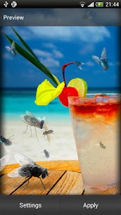 How to get Pesky Fly Live Wallpaper lastet apk for android
