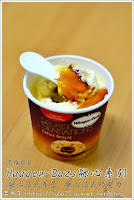 Haggen dazs 高雄漢神店