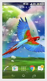 Parrot Live Wallpaper poster 13