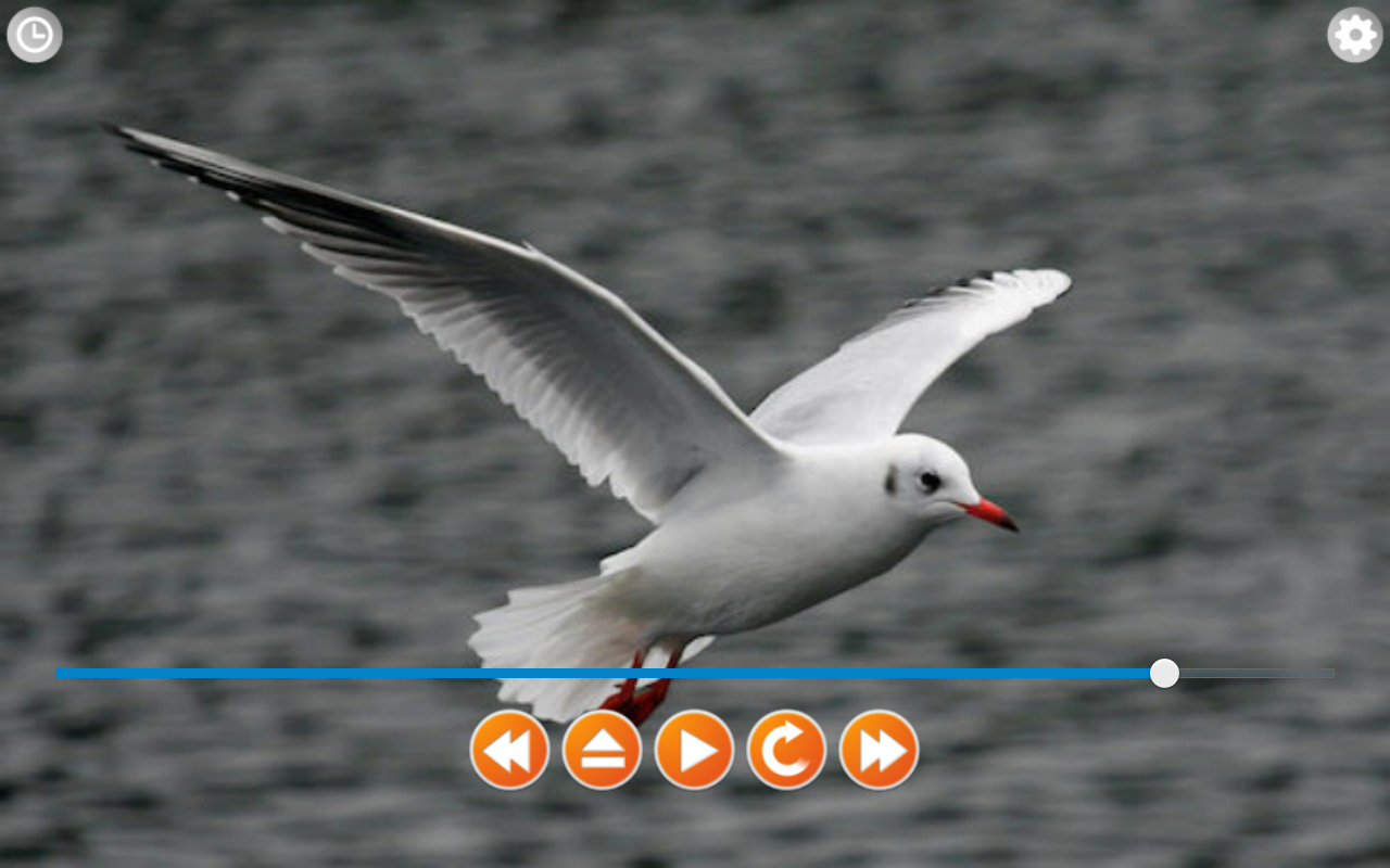 Birds Calls Sounds - Android Apps on Google Play